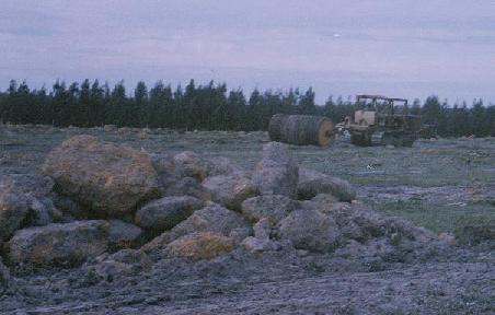 The bulldozer in operation on an early day