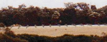 Picture of the farm in March 2000